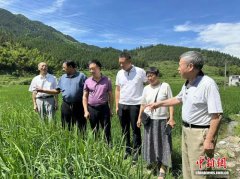 湖南永兴“银龄”志愿团队服务基层展现新担当