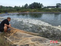 江西安福：同心聚力促发